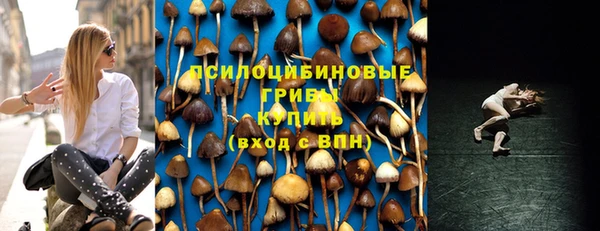 не бодяженный Баксан