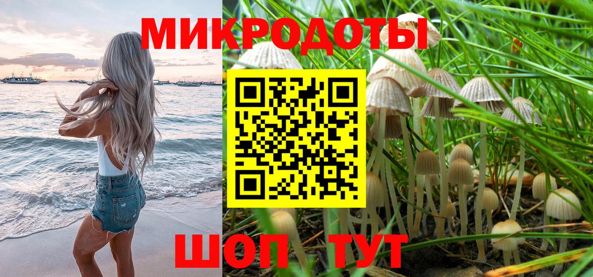Борисоглебск  Галлюциногенные грибы мицелий  Вход с VPN 